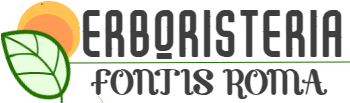 Eroboristeria Shop Roma